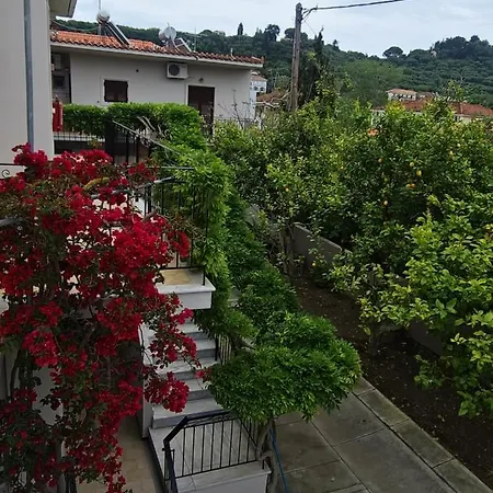 Blu Apart/hotel Tsilivi (Zakynthos)