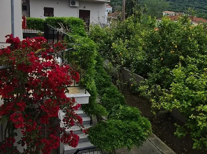 Blu Apart/hotel Tsilivi (Zakynthos)